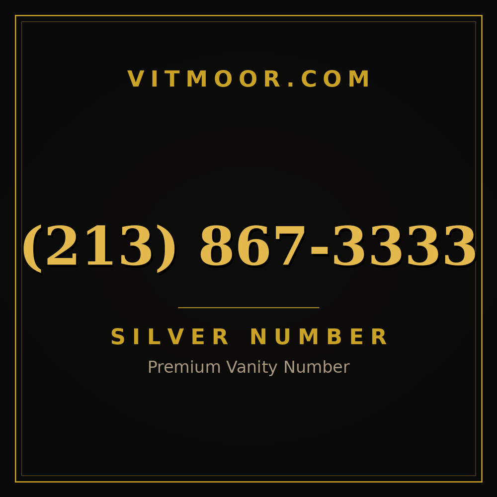 213 867-3333