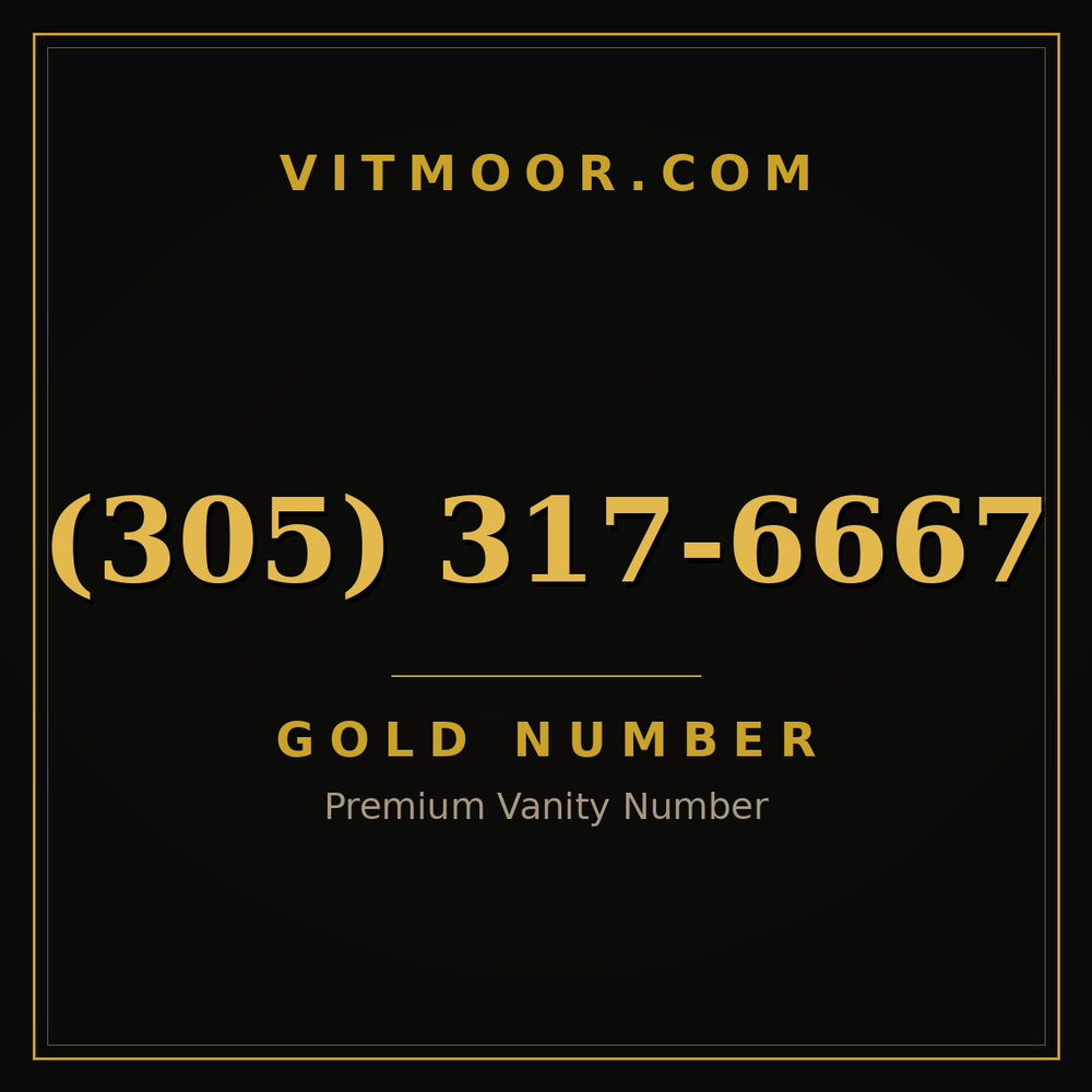 305 317-6667