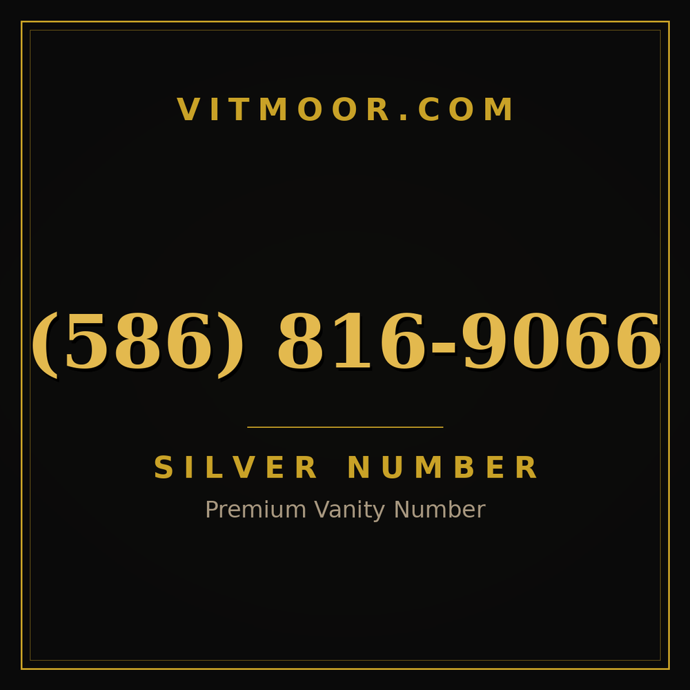 586 816-9066