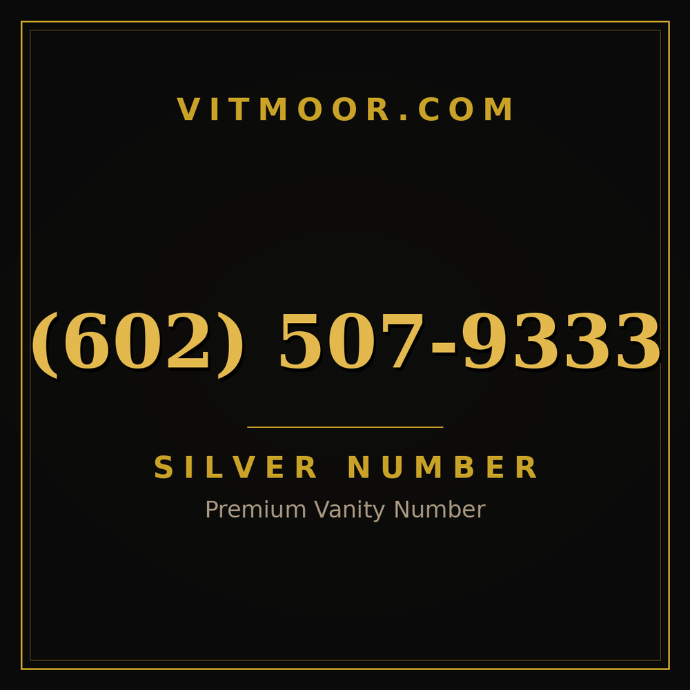 602 507-9333