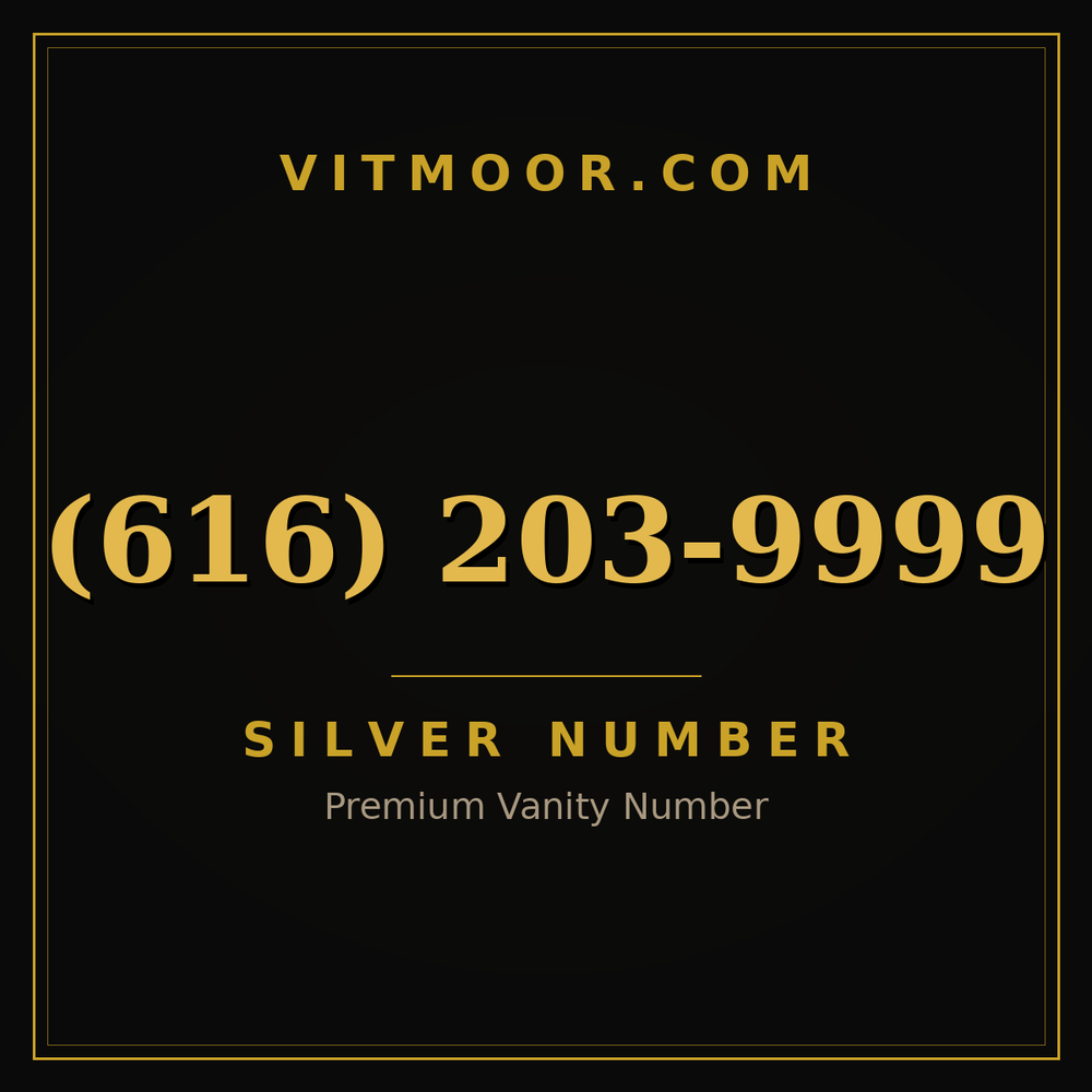 616 203-9999