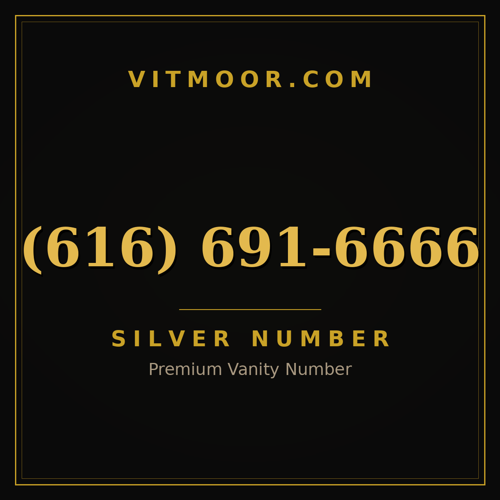 616 691-6666