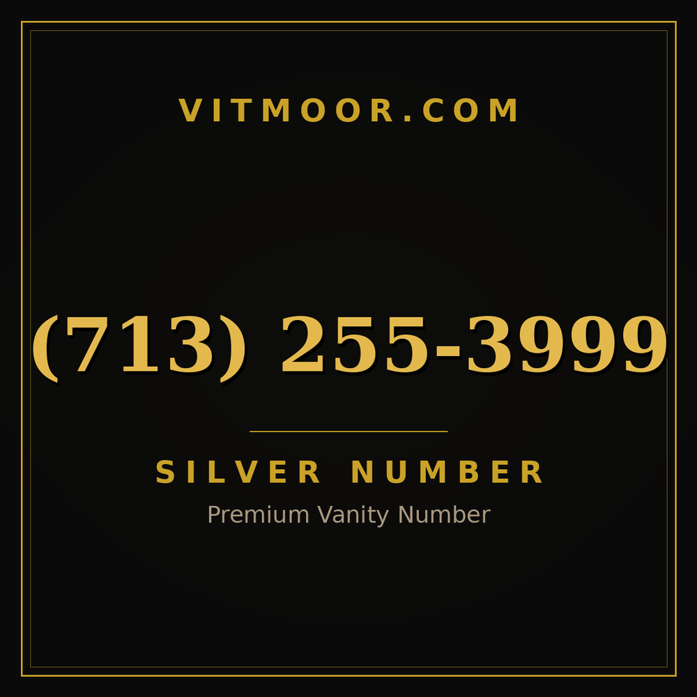 713 255-3999