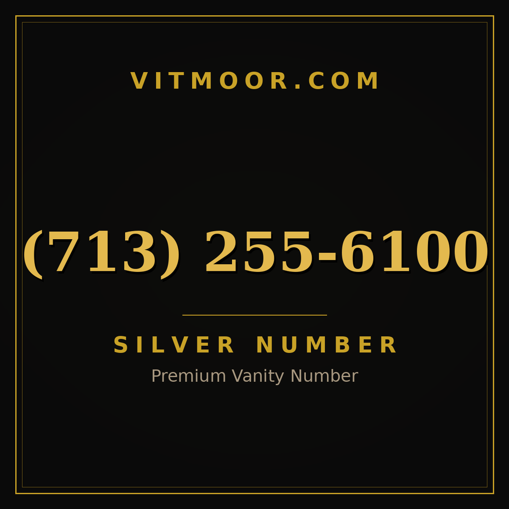 713 255-6100