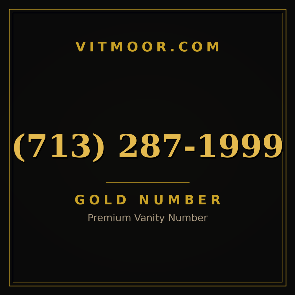713 287-1999