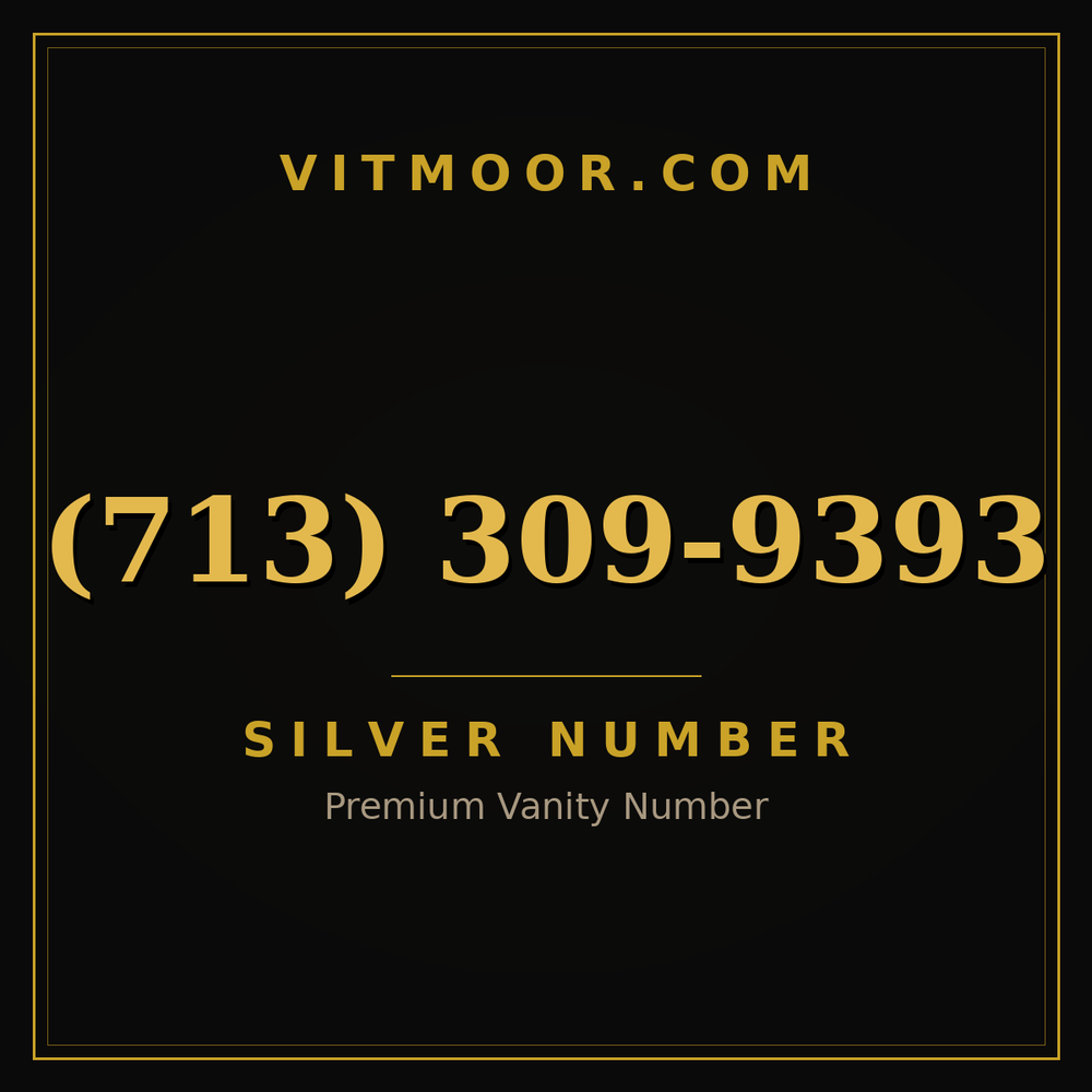 713 309-9393