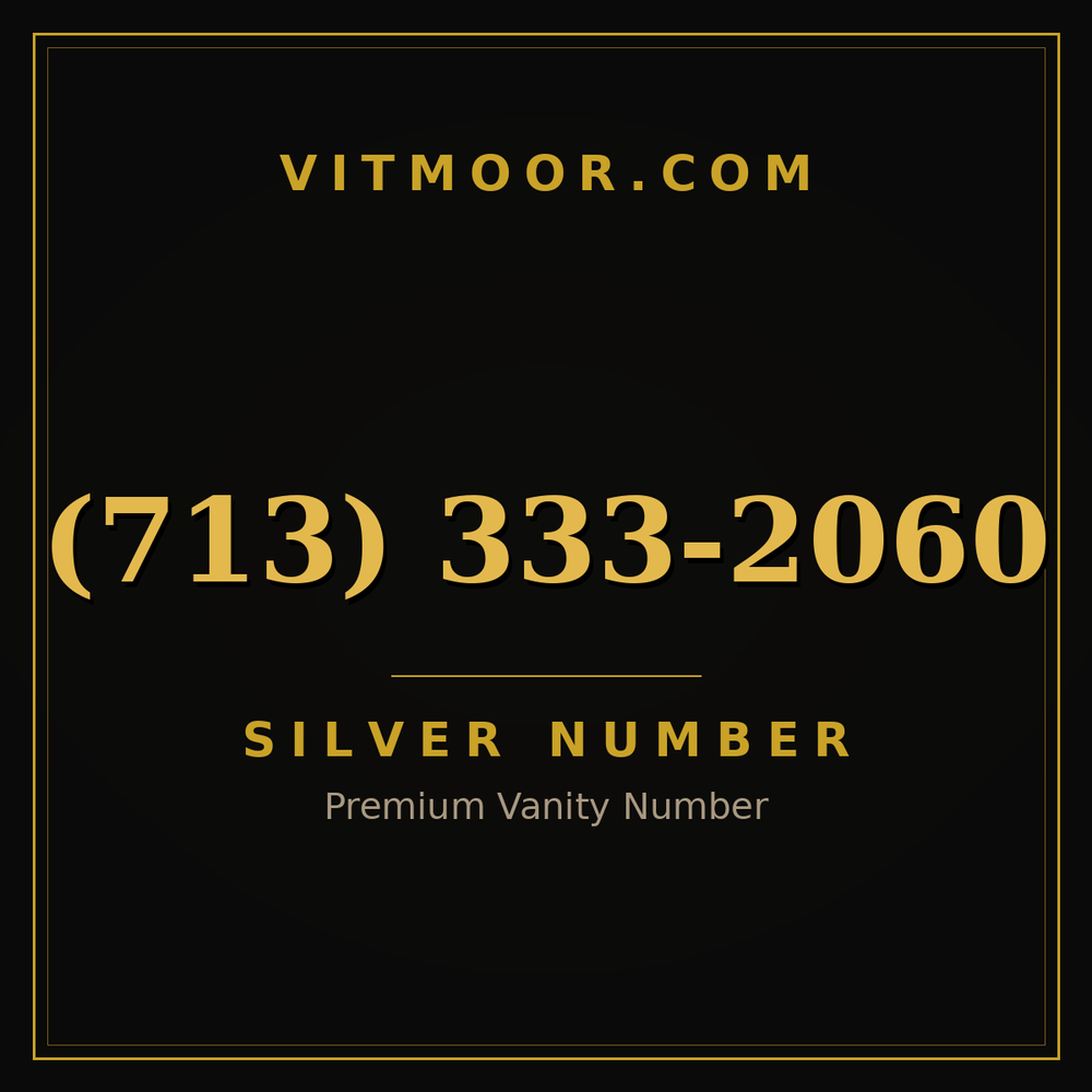 713 333-2060