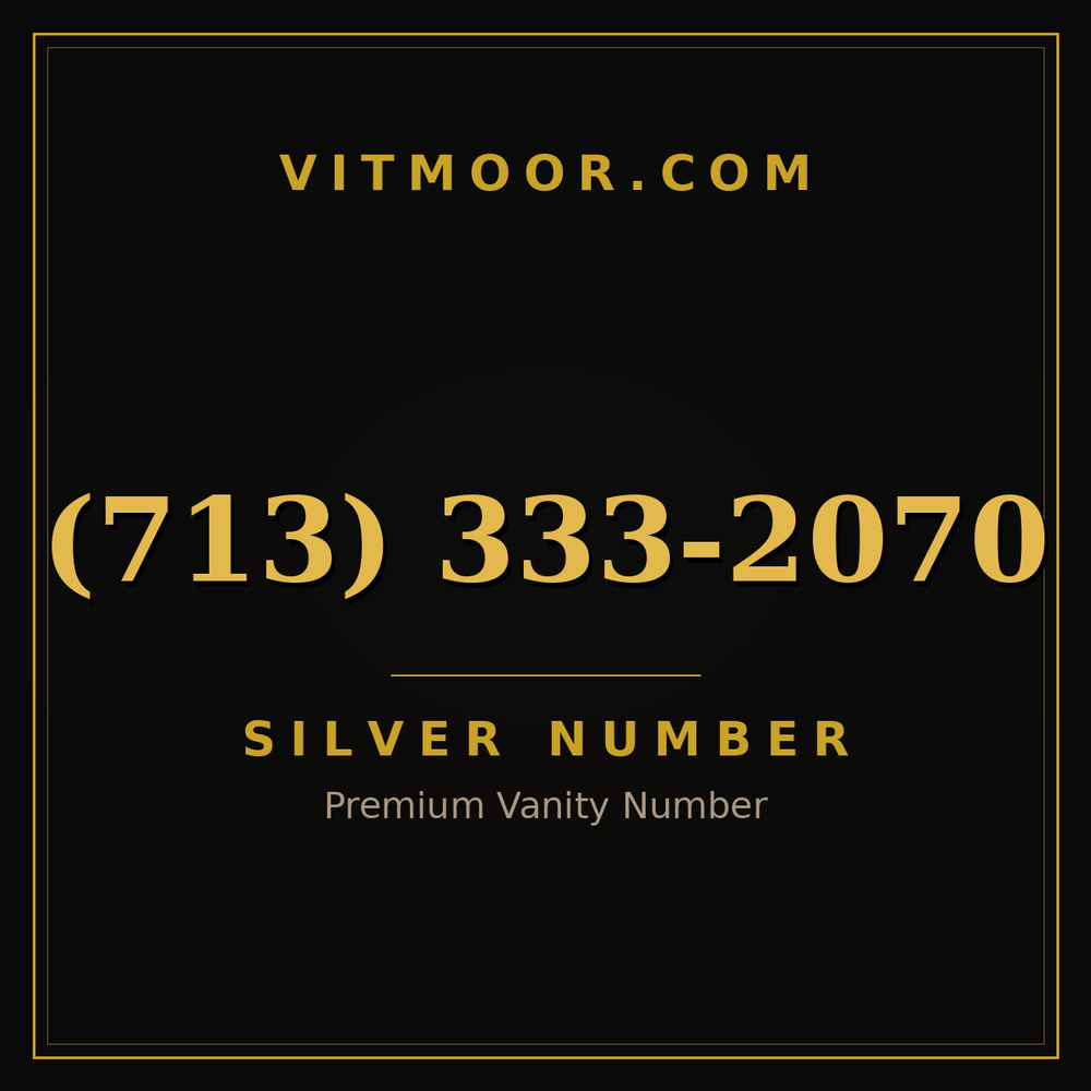 713 333-2070