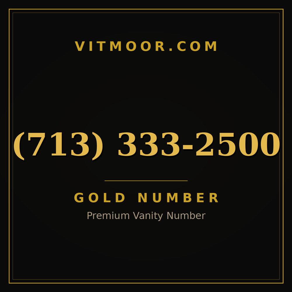 713 333-2500