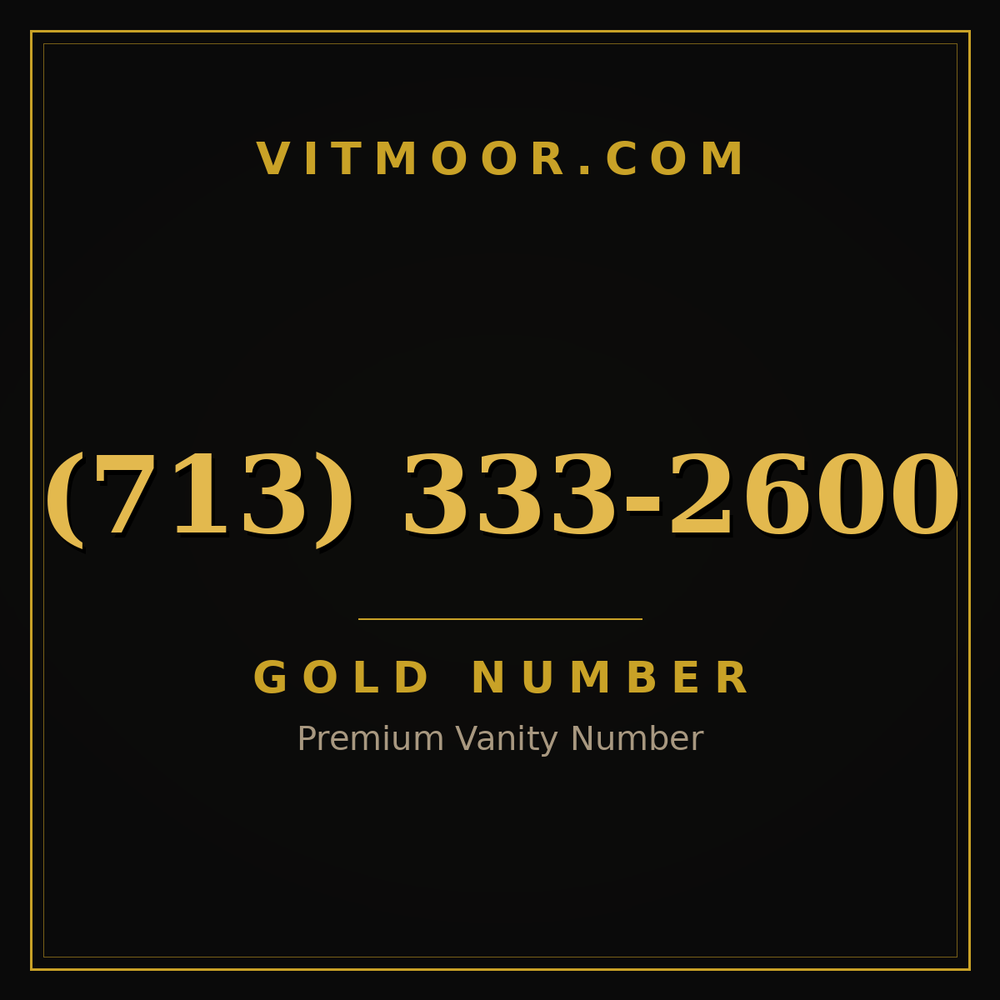 713 333-2600