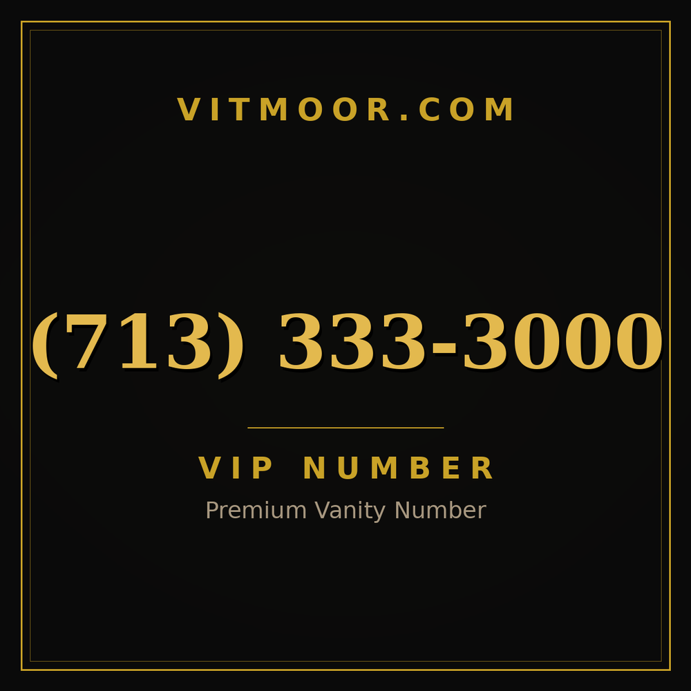 713 333-3000