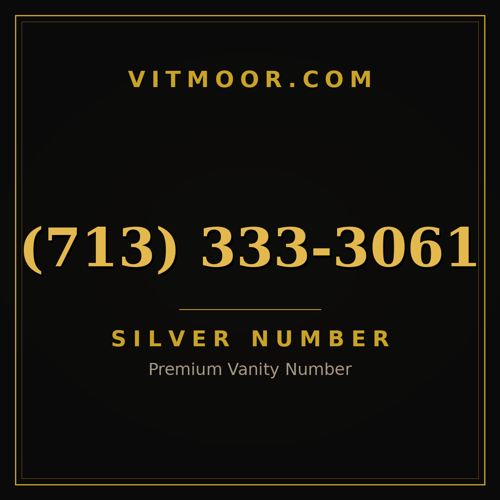 713 333-3061