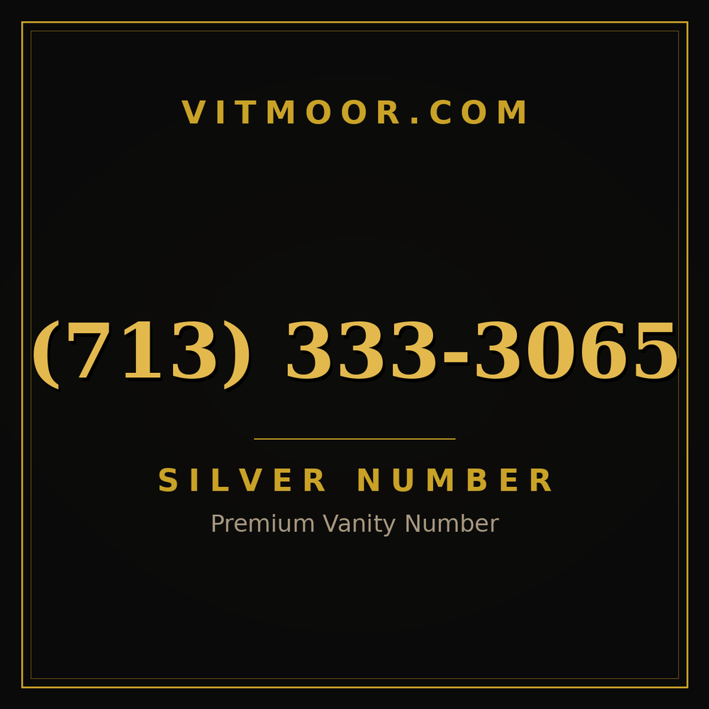 713 333-3065