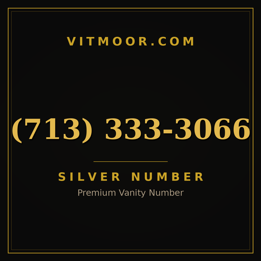 713 333-3066