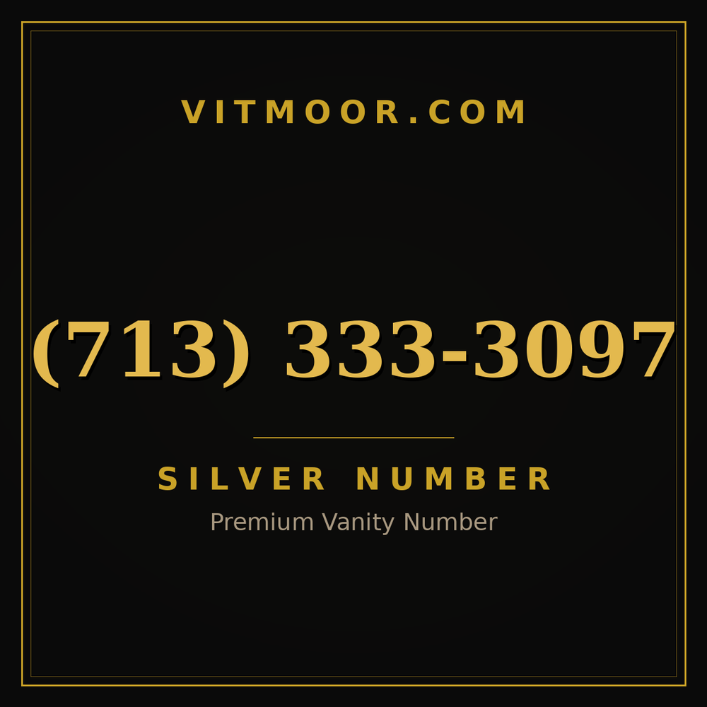 713 333-3097