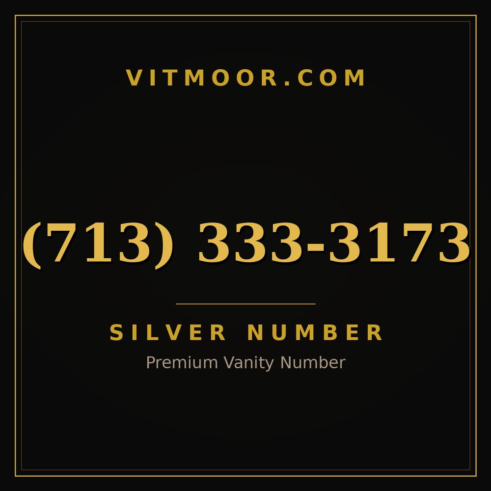 713 333-3173
