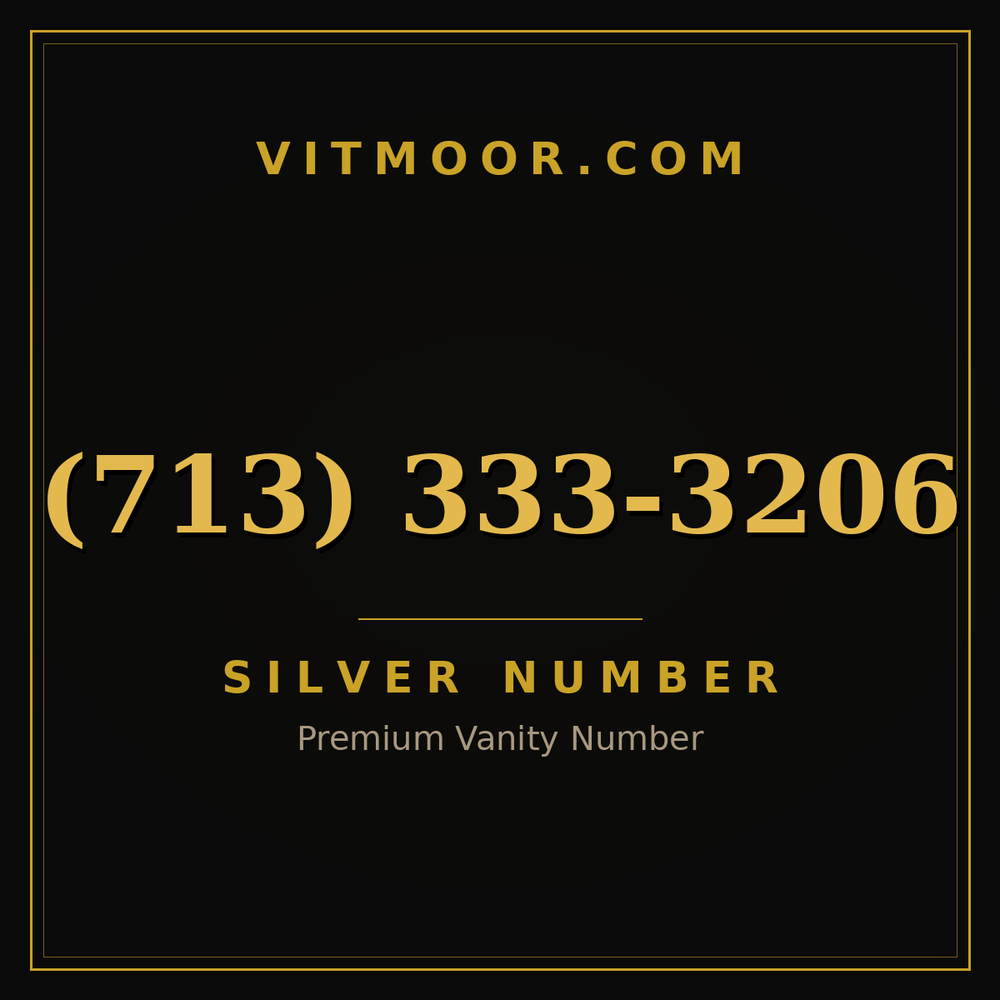 713 333-3206