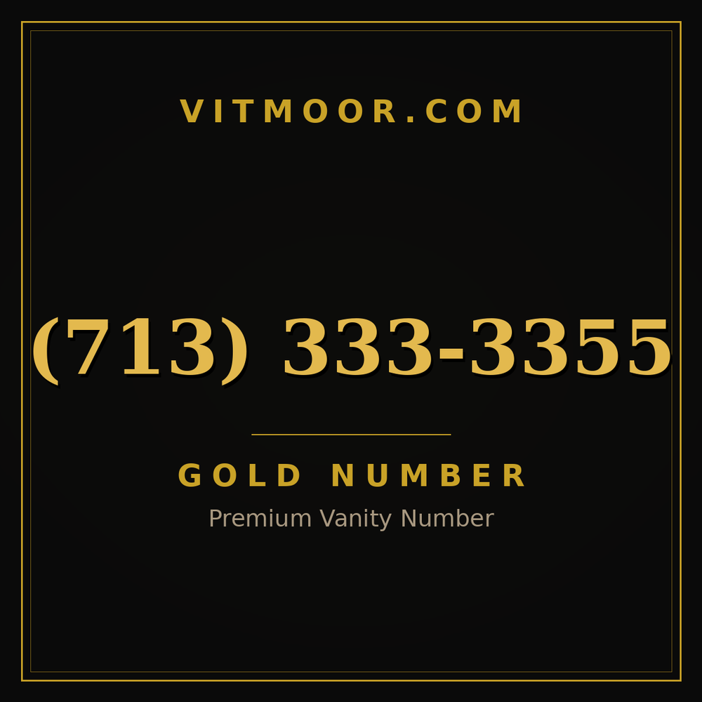 713 333-3355
