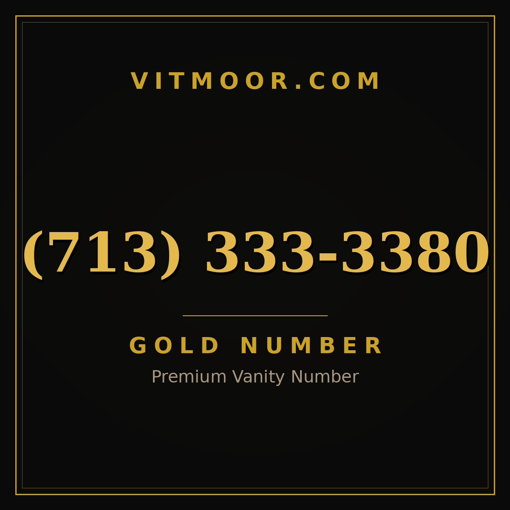 713 333-3380