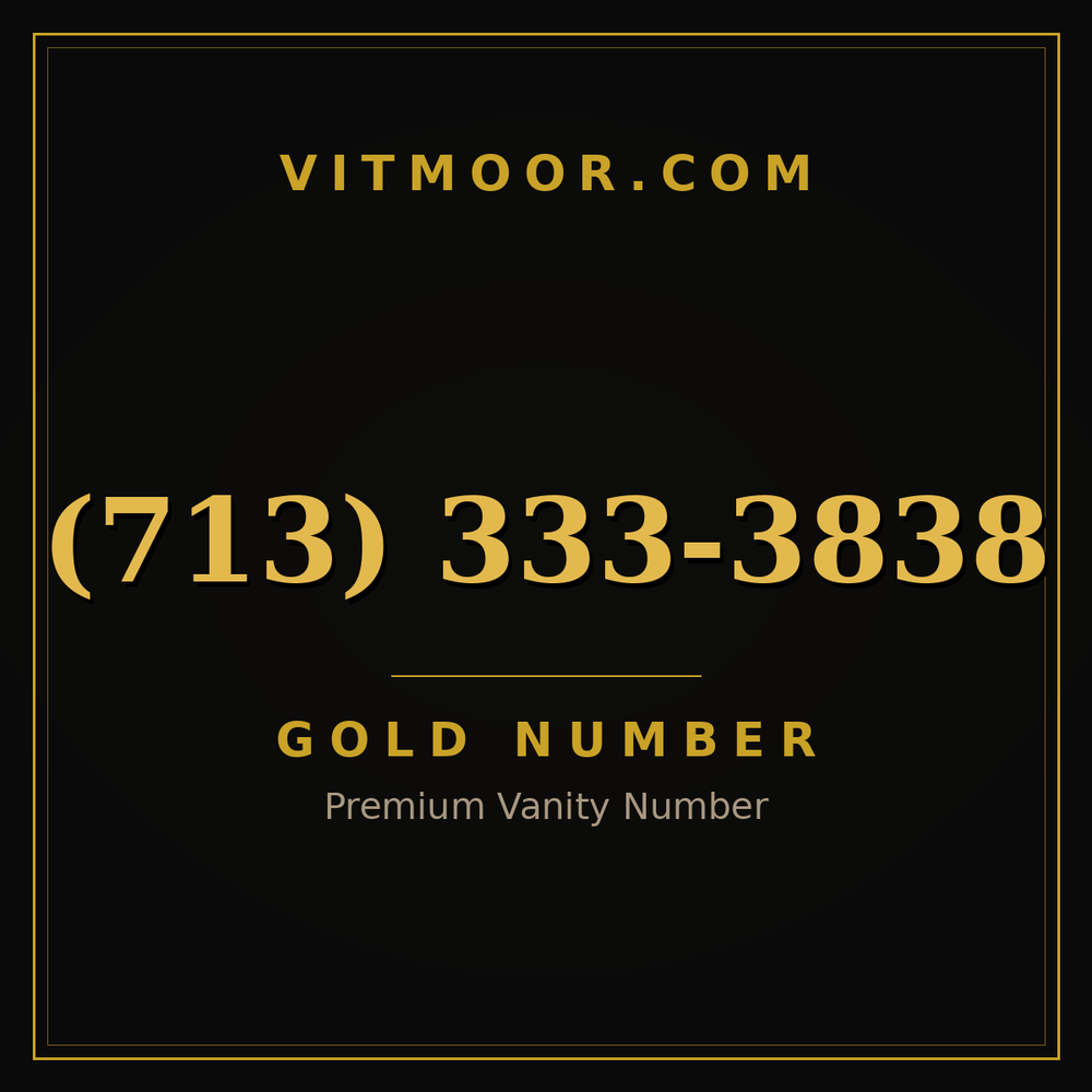 713 333-3838