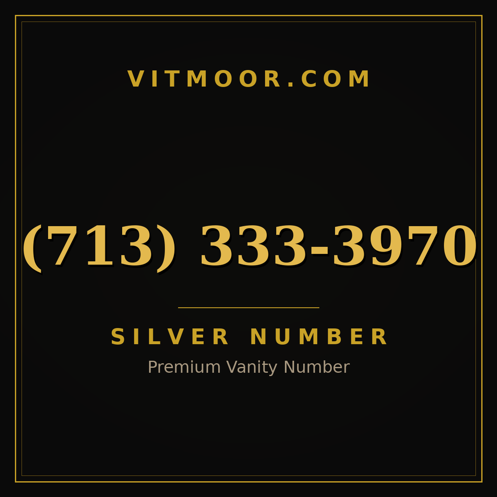 713 333-3970