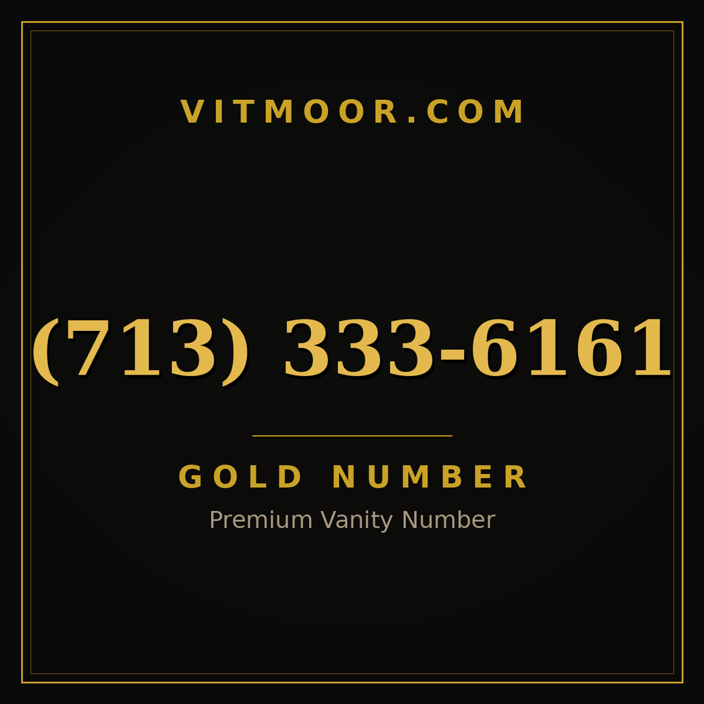 713 333-6161