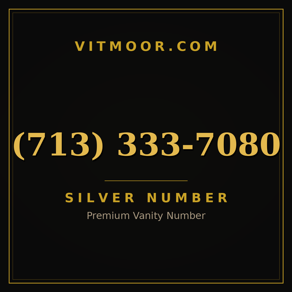 713 333-7080