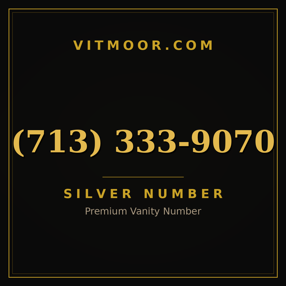 713 333-9070