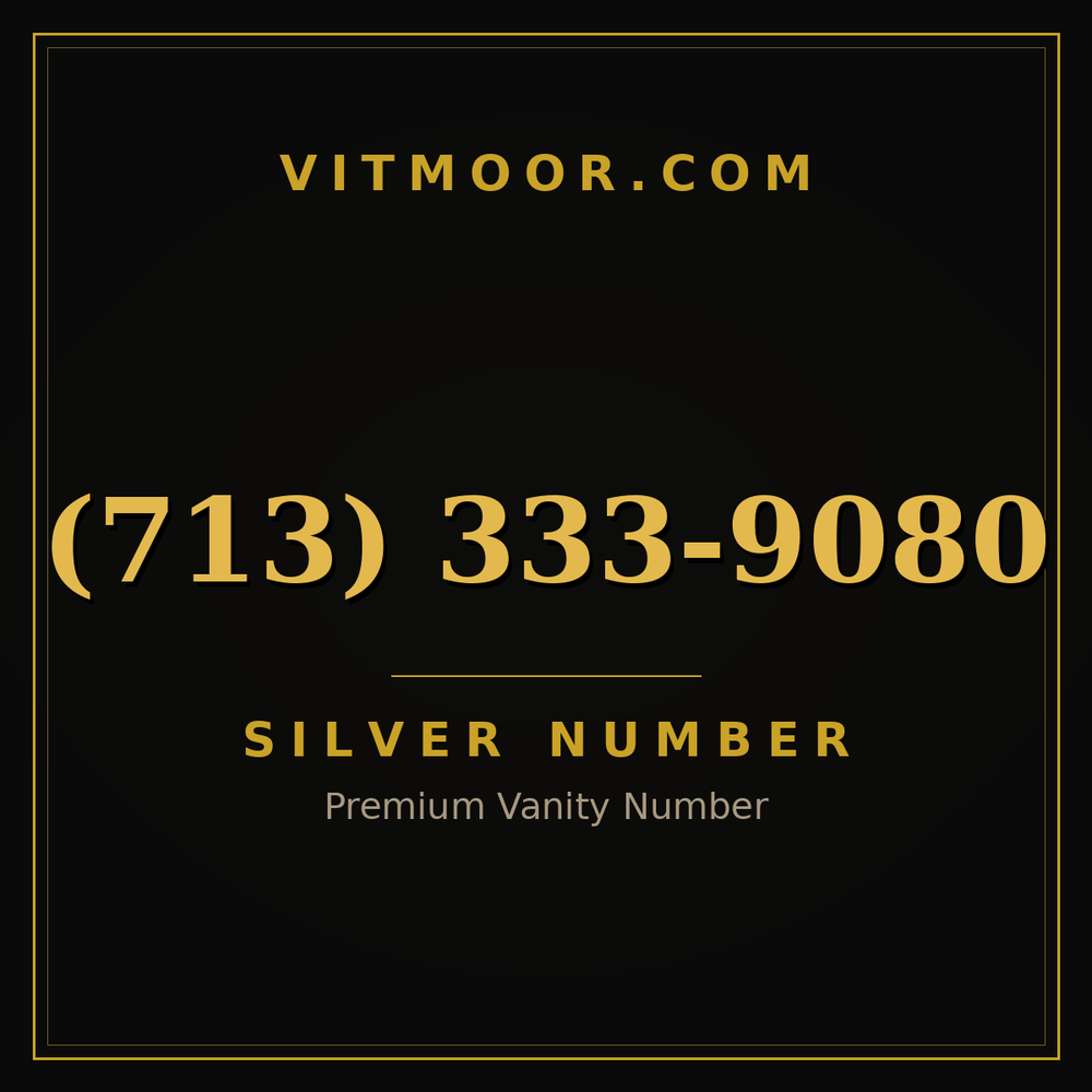 713 333-9080