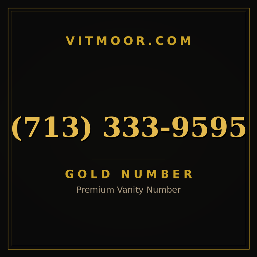 713 333-9595