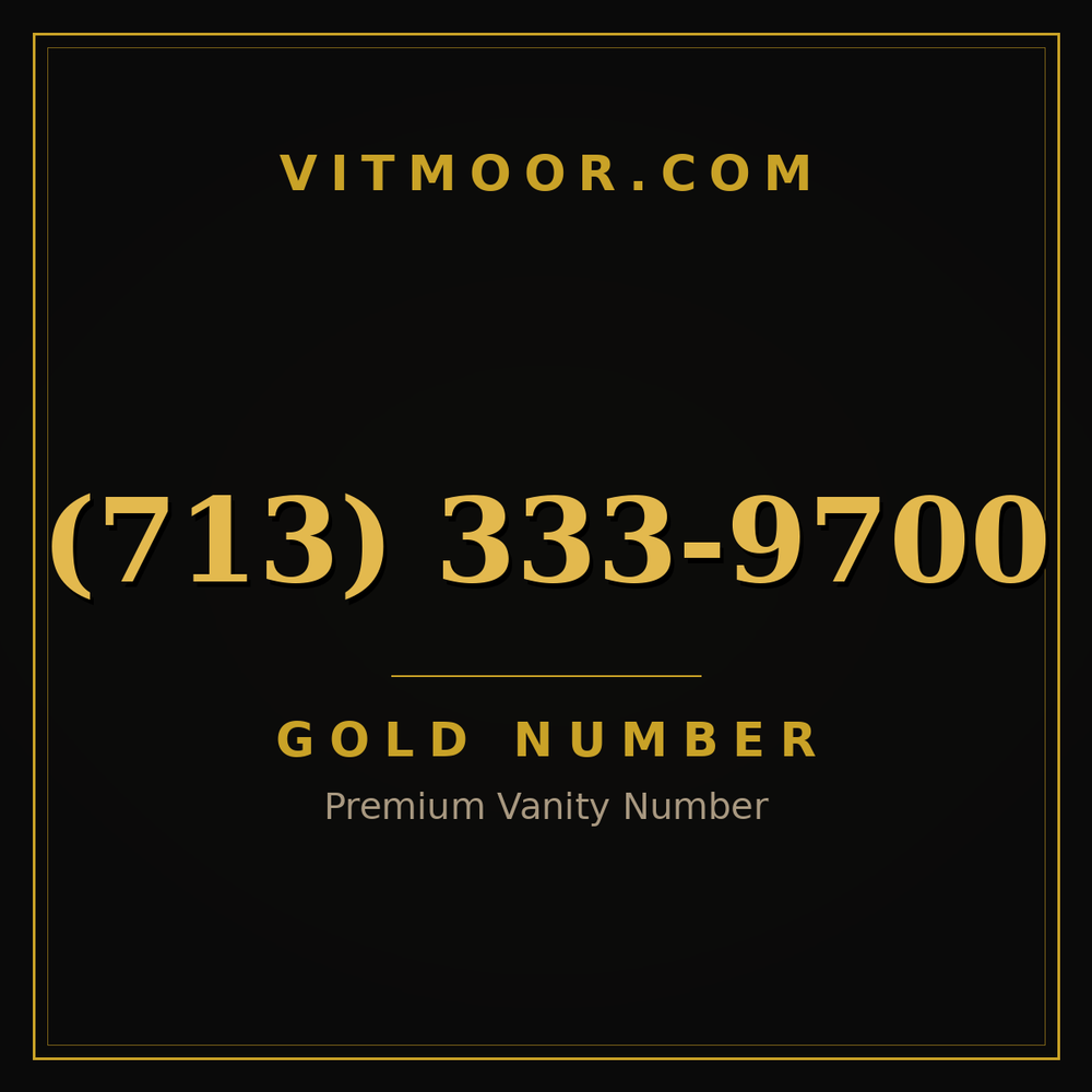 713 333-9700