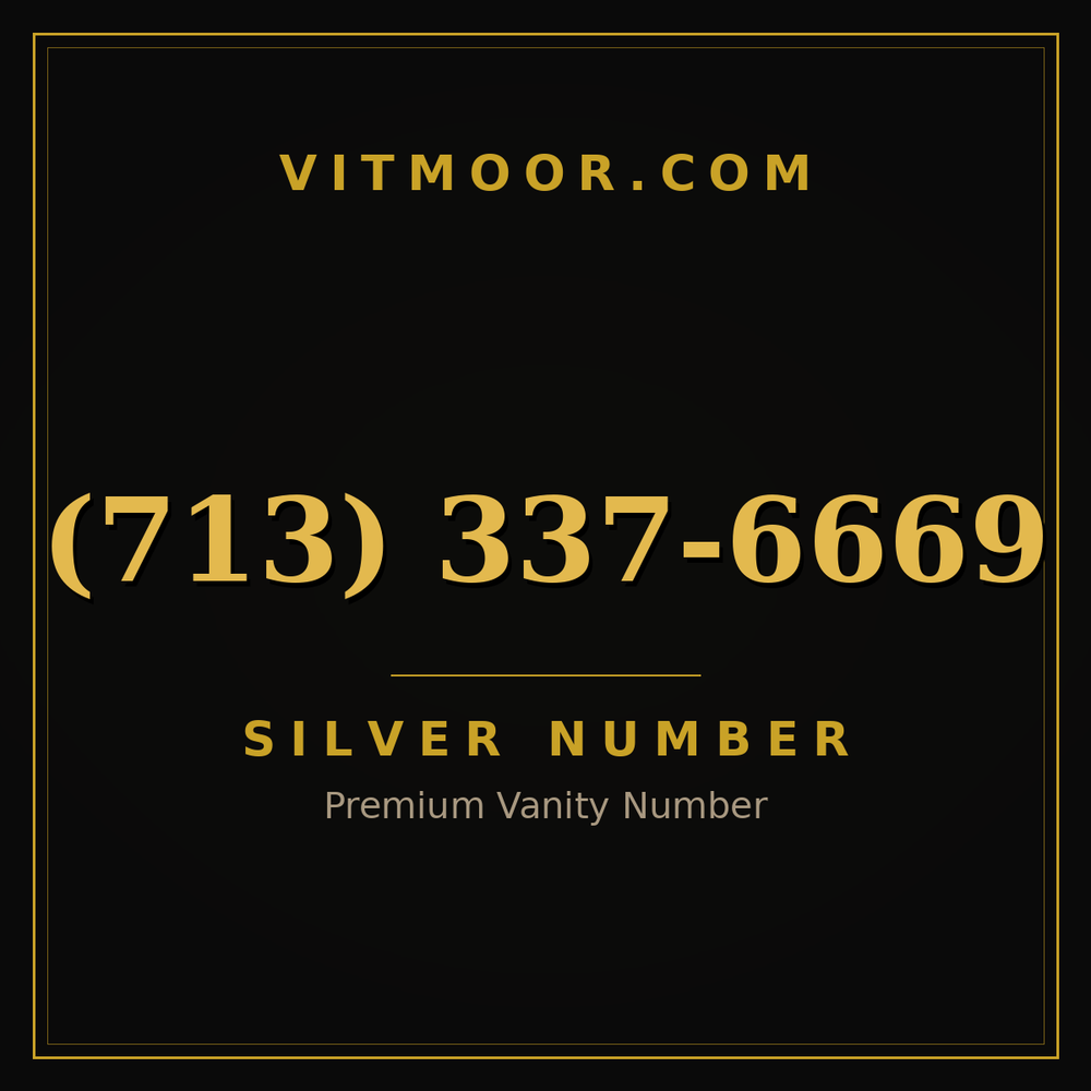 713 337-6669