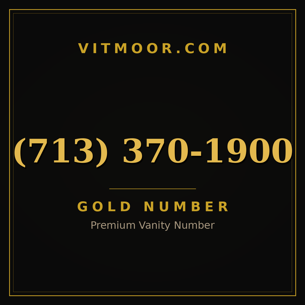 713 370-1900