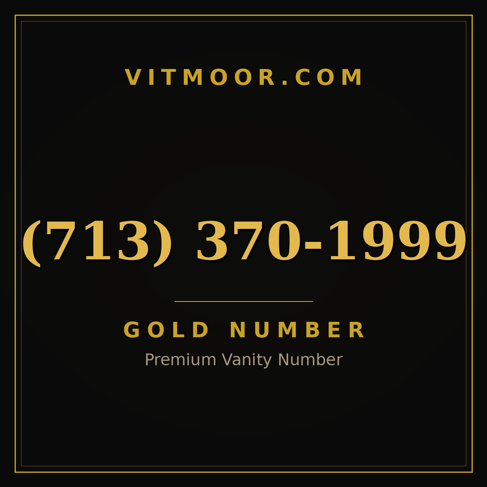 713 370-1999