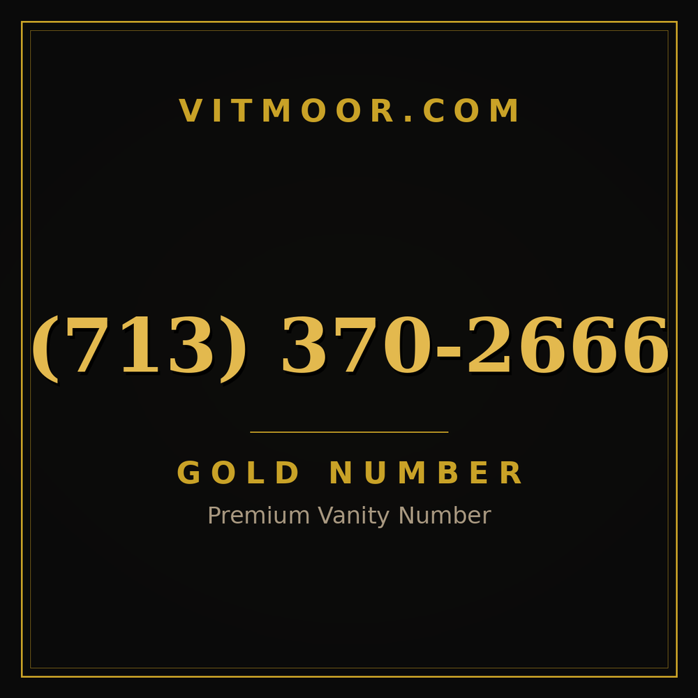 713 370-2666