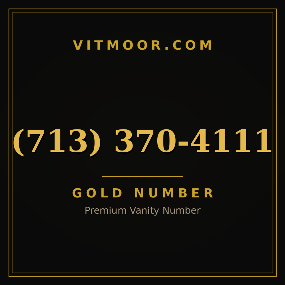 713 370-4111