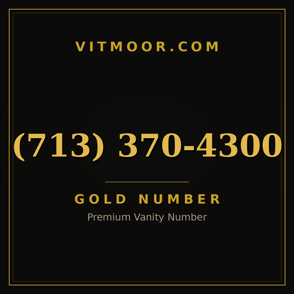 713 370-4300
