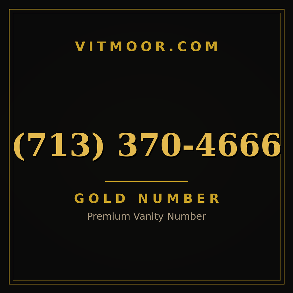 713 370-4666