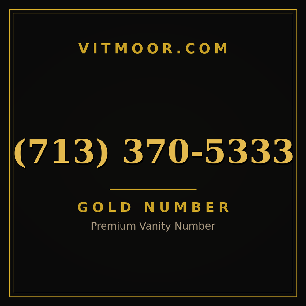 713 370-5333