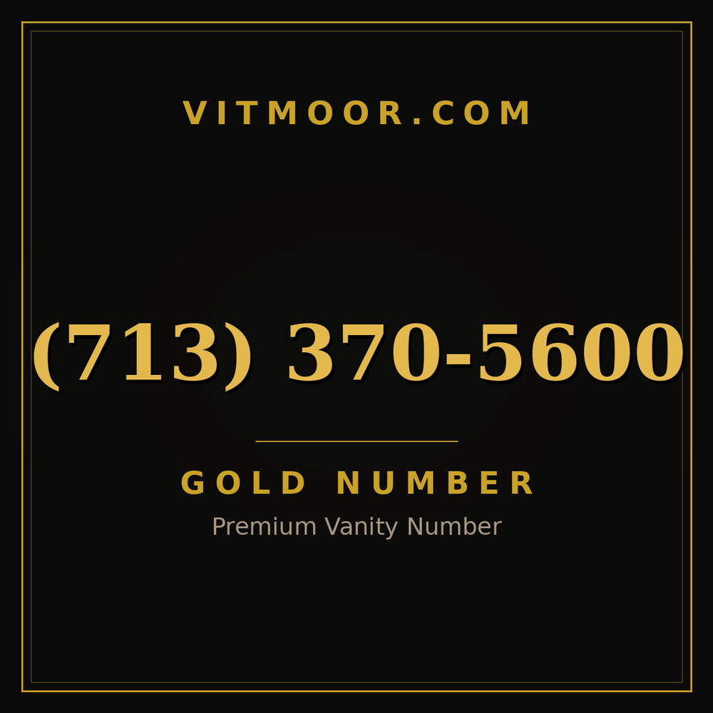 713 370-5600