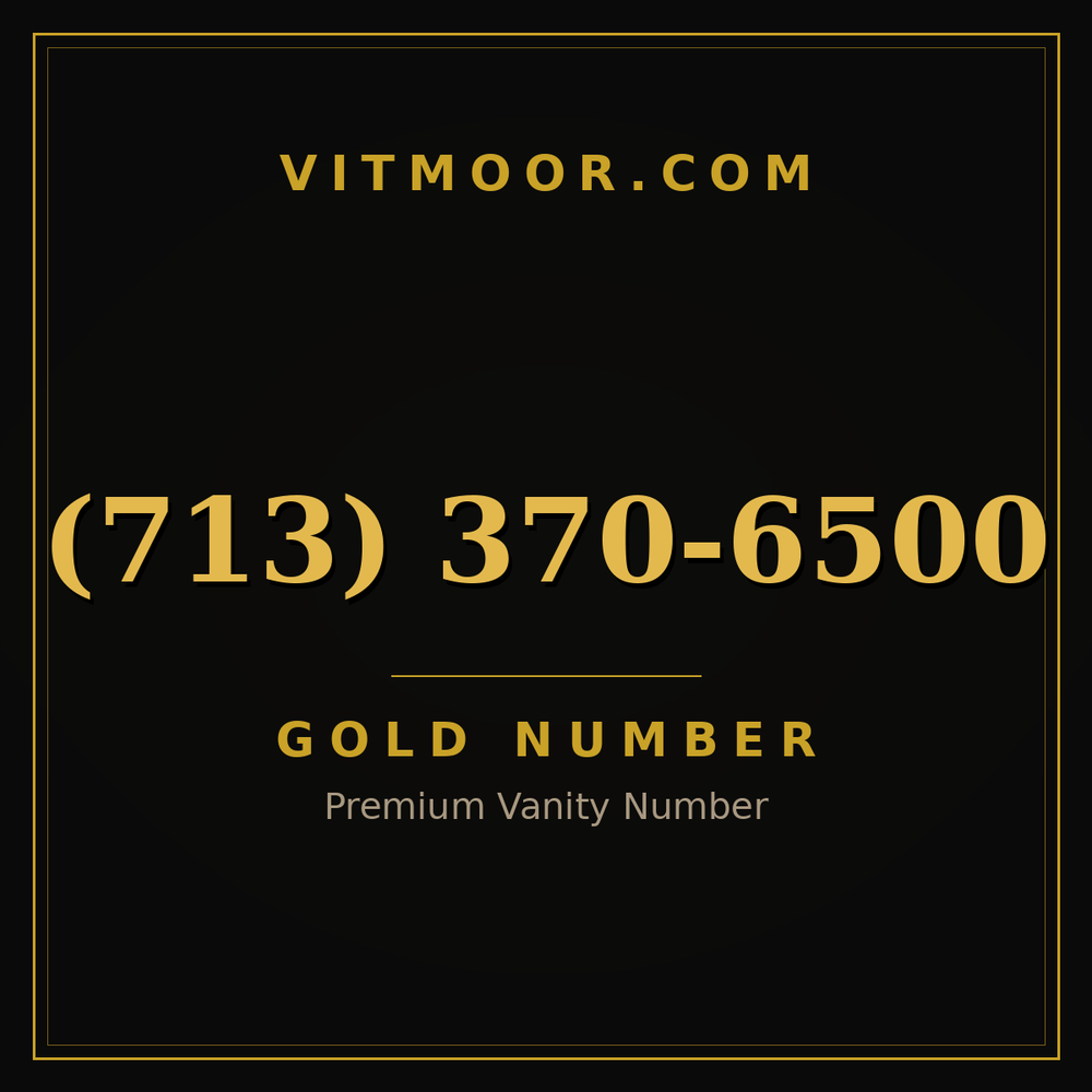 713 370-6500