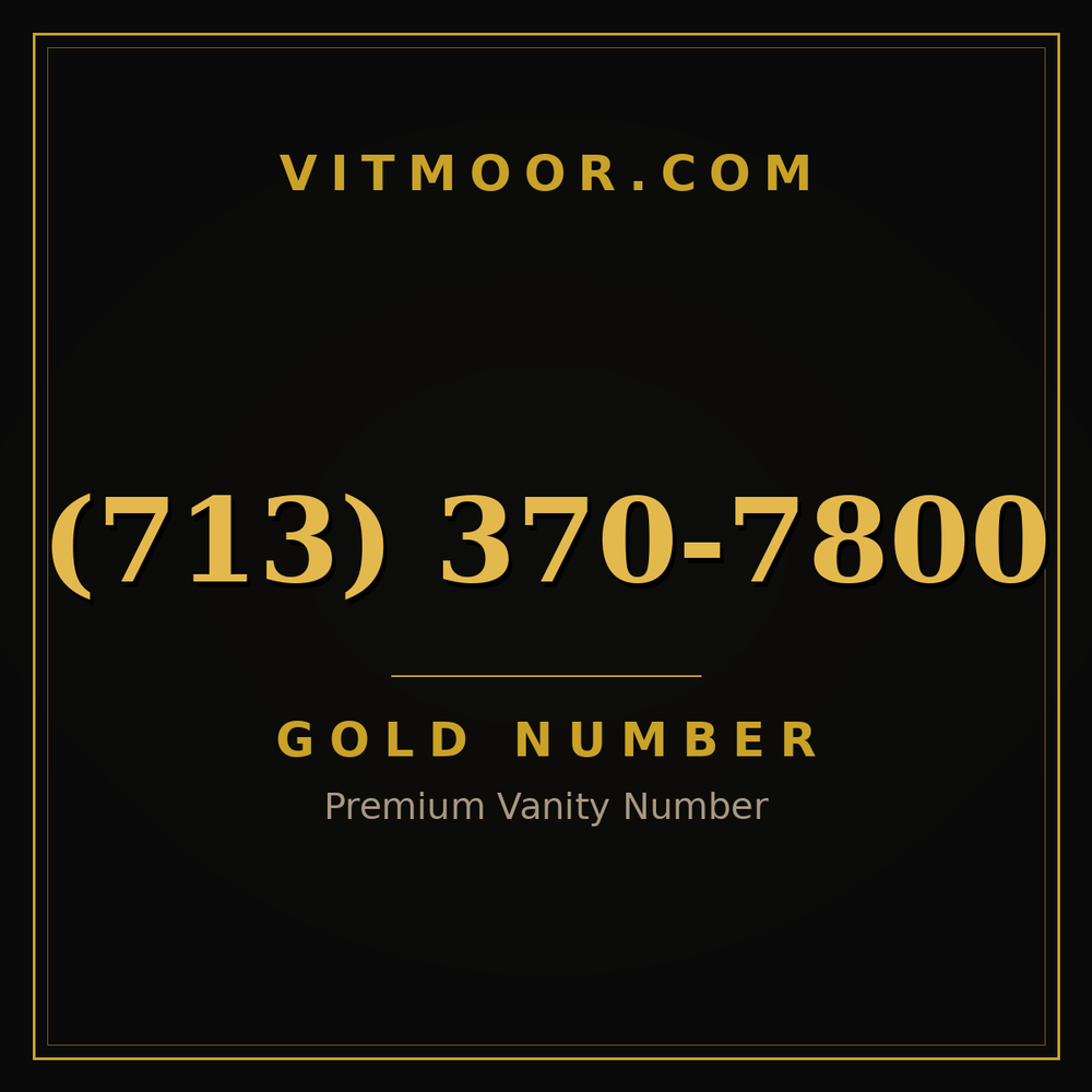 713 370-7800
