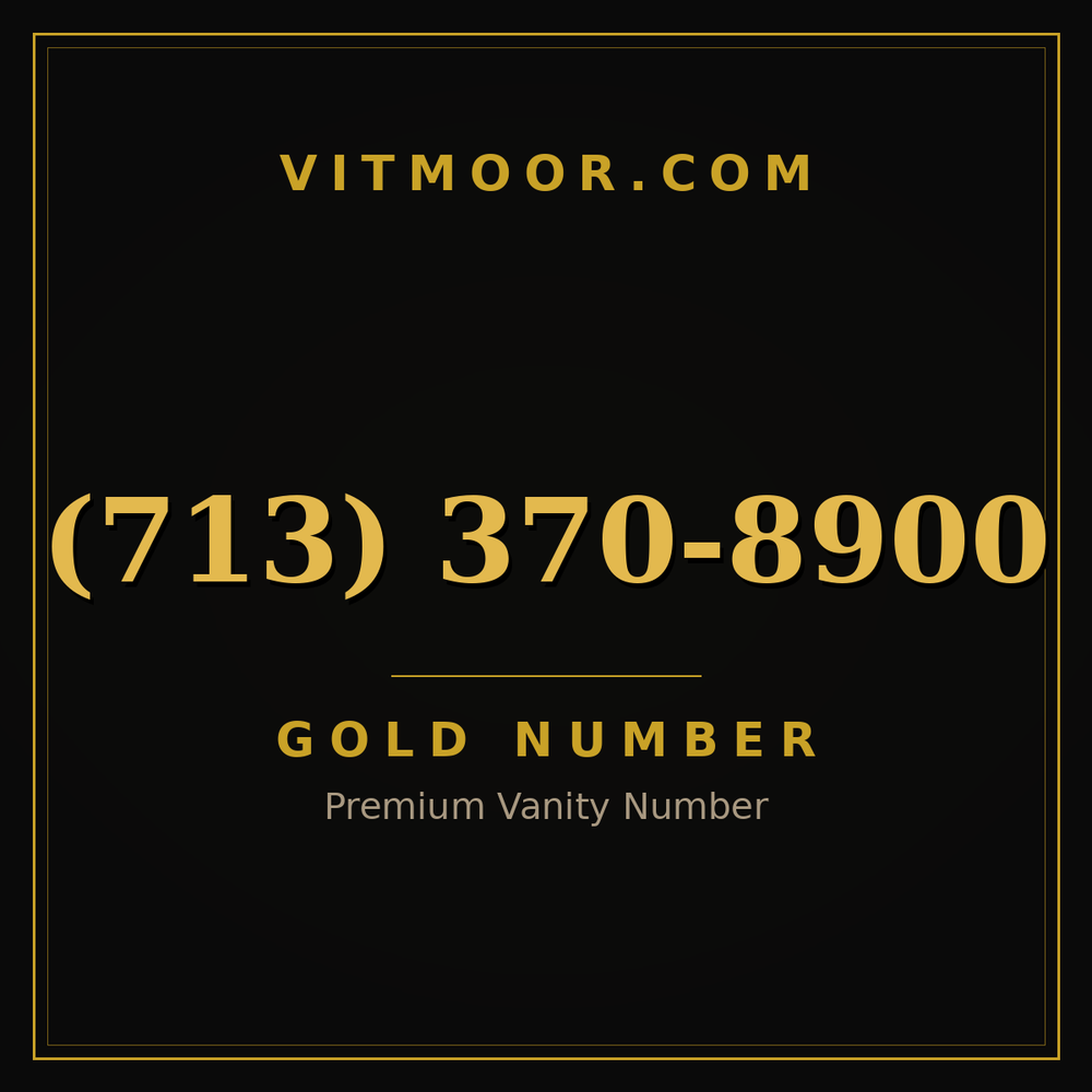 713 370-8900