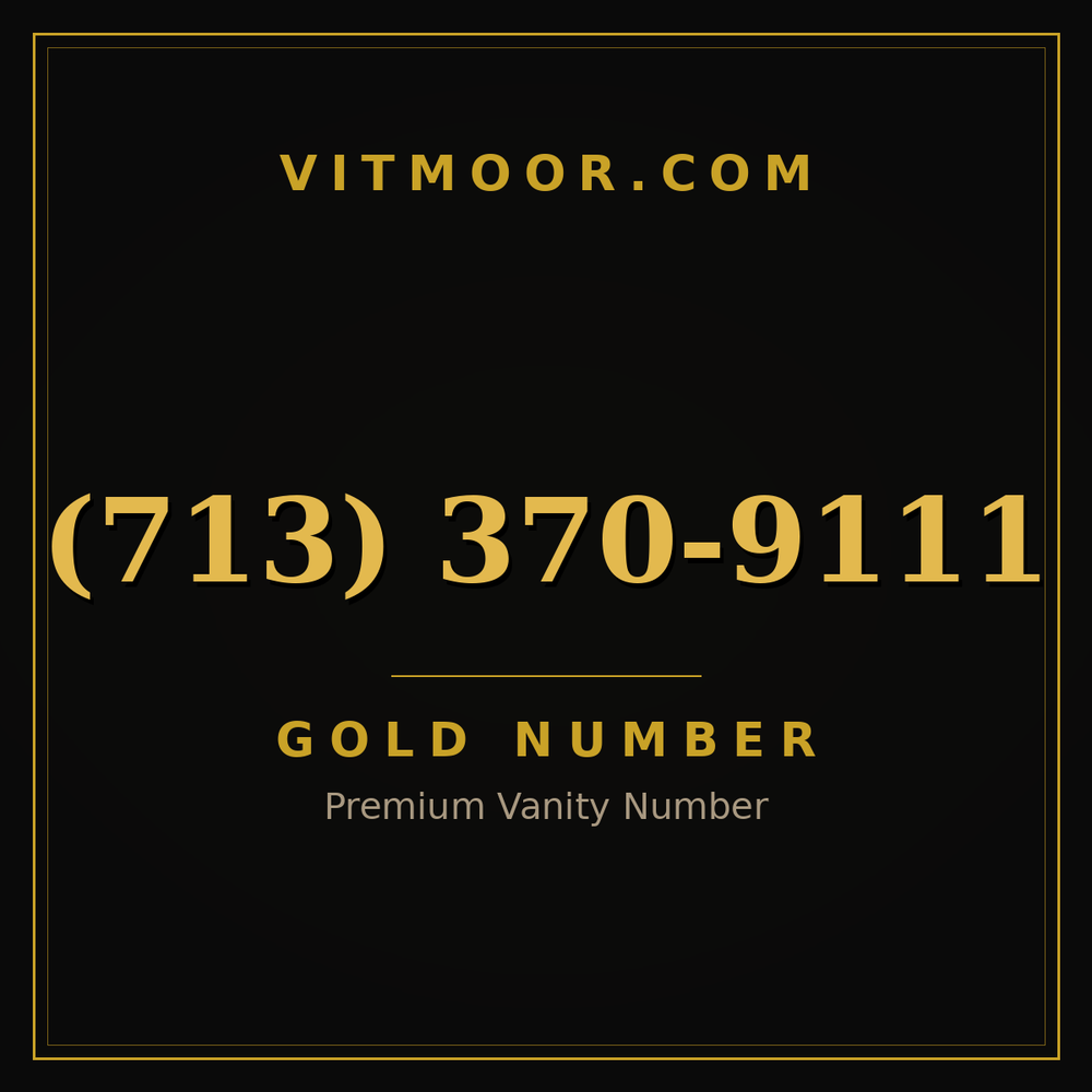713 370-9111