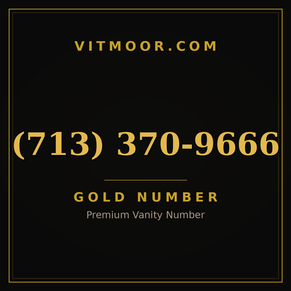 713 370-9666