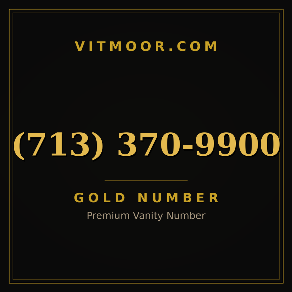 713 370-9900