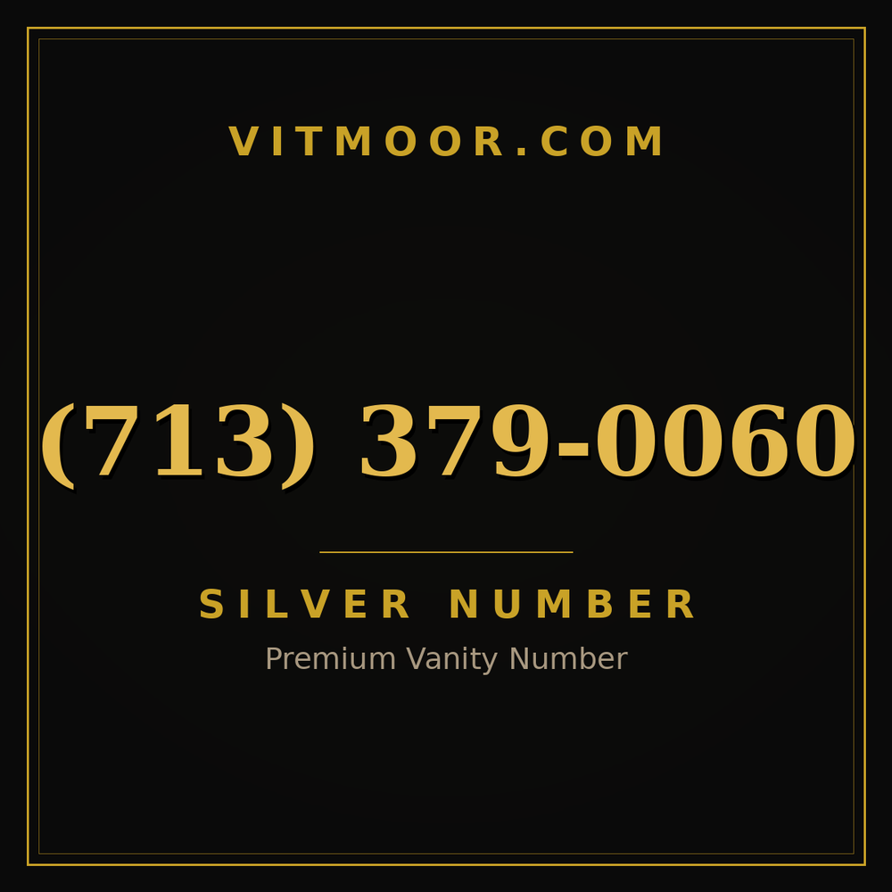 713 379-0060