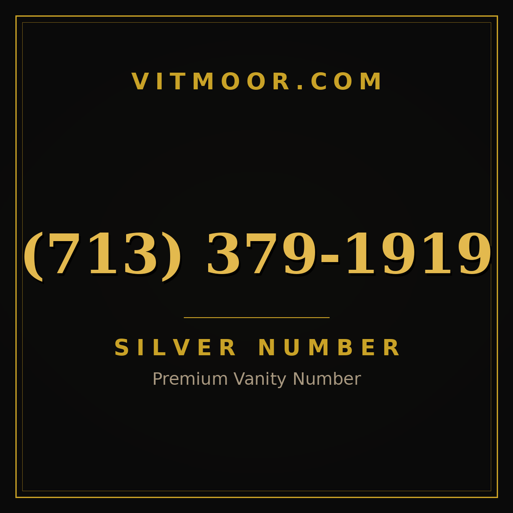 713 379-1919