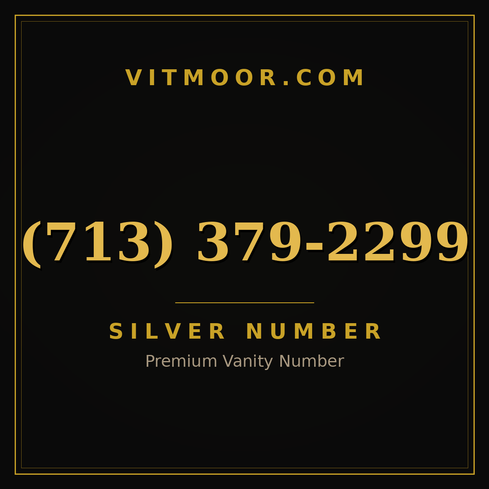 713 379-2299