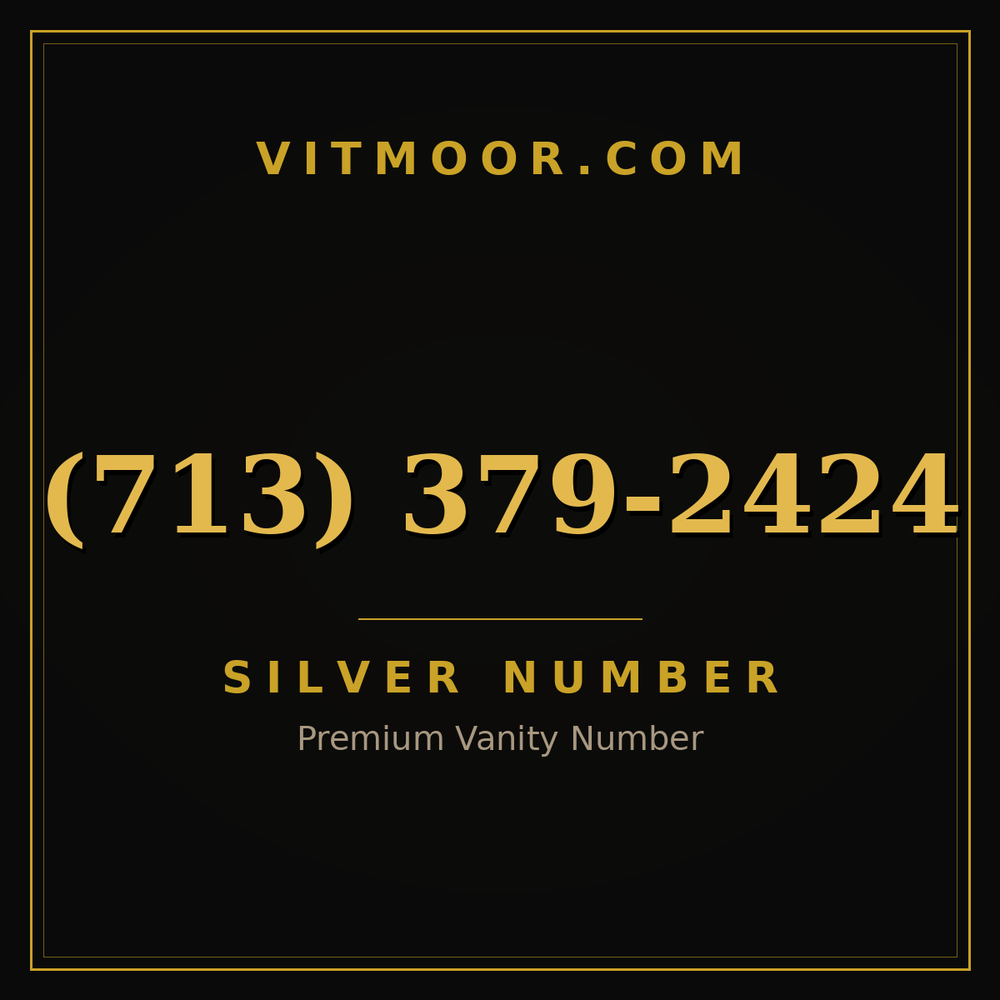 713 379-2424